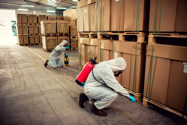 Best Mosquito Control Services  in Winthrop Harbor, IL