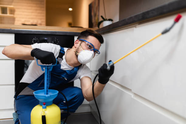 Best Residential Pest Control  in Winthrop Harbor, IL
