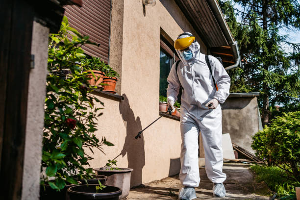 Best Exterminator Services  in Winthrop Harbor, IL