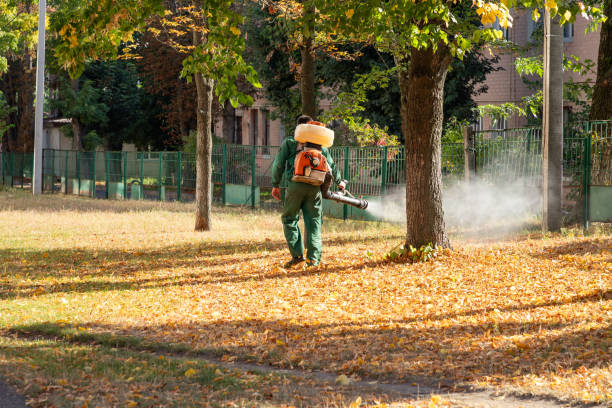 Best Rodent Control Near Me  in Winthrop Harbor, IL