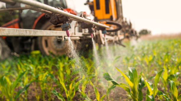 Best Wildlife Control Services  in Winthrop Harbor, IL